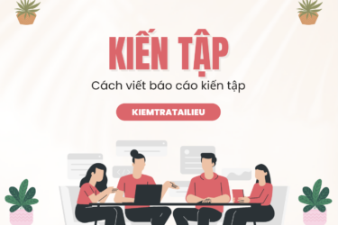 Kiến Tập Là Gì? Cách Viết Báo Cáo Kiến Tập